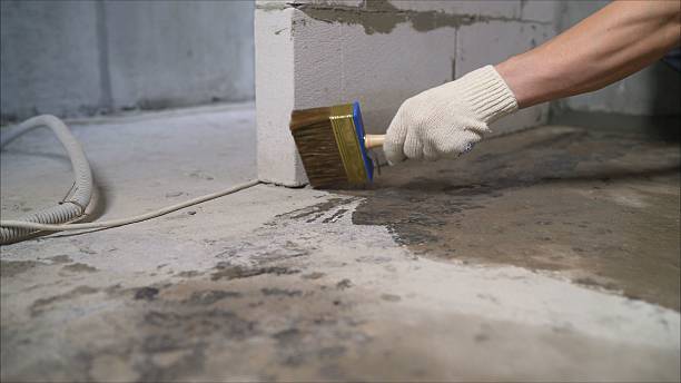 SJ Waterproofing Pros Waterproofing coverage map for Leesburg, AL and surrounding area